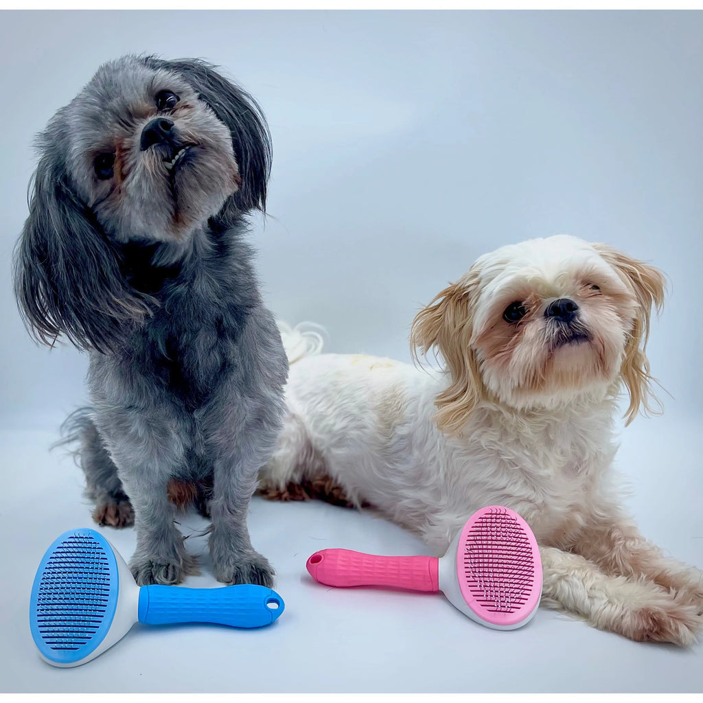 Pet Hair Removal Brush for Cats and Dogs