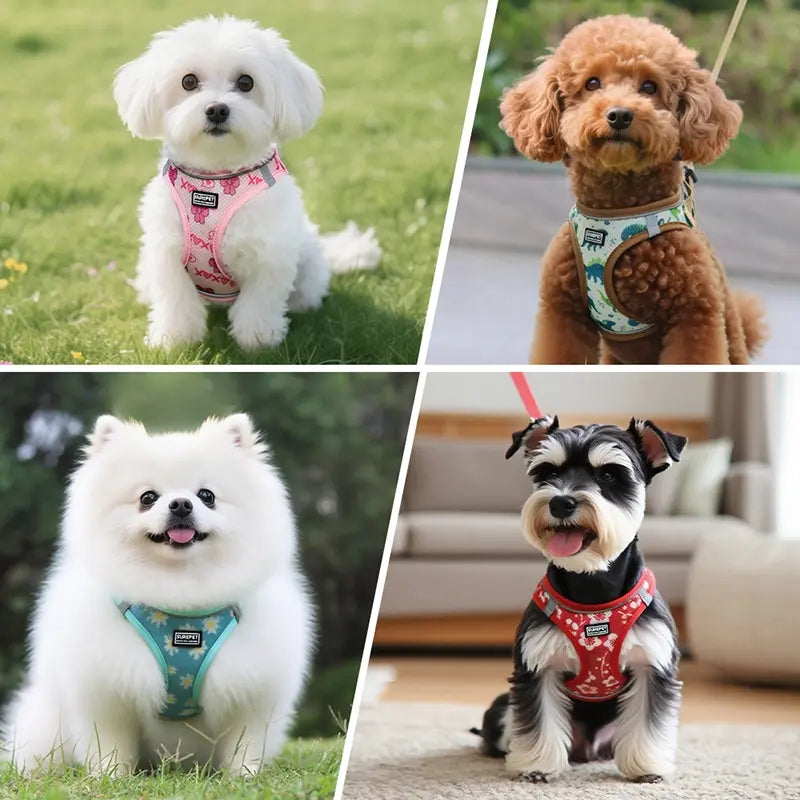 Adjustable Reflective Dog Harness and Leash Set - Durable and Breathable Safety Gear for Outdoor Walking - Pet Accessories for Dogs and Cats
