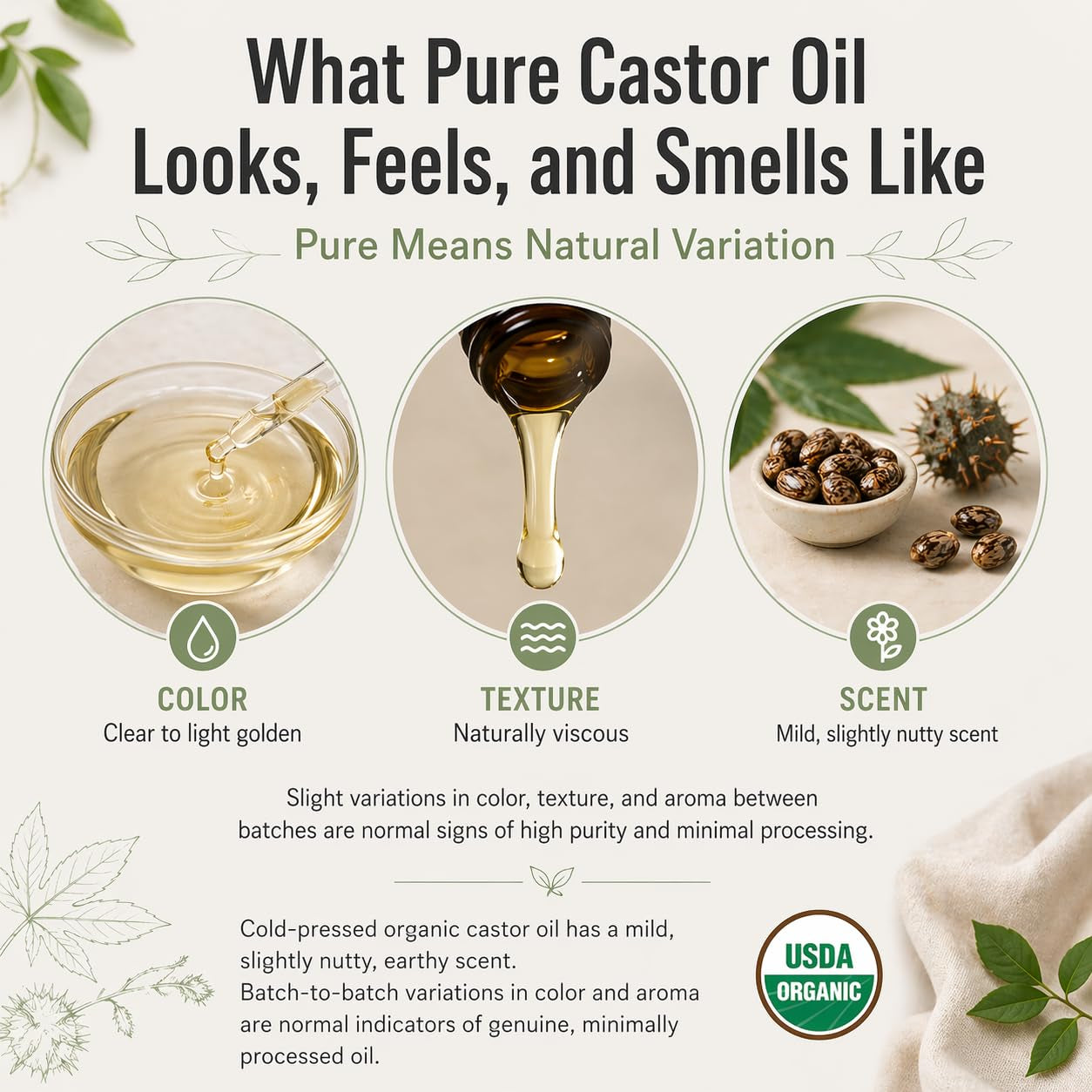 J MAC BOTANICALS USDA Certified Organic Cold Pressed Castor Oil - 16 Oz Amber Glass Bottle for Ultimate Moisture for Hair, Skin, Face, Eyelashes, Brows, and Nails - Hexane Free