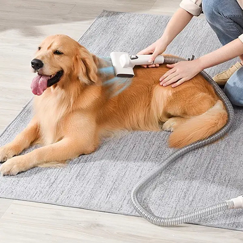 Bunfly Pet Grooming Vacuum Kit for Shedding Hair - Quiet and Efficient Grooming Tools for Cats and Dogs