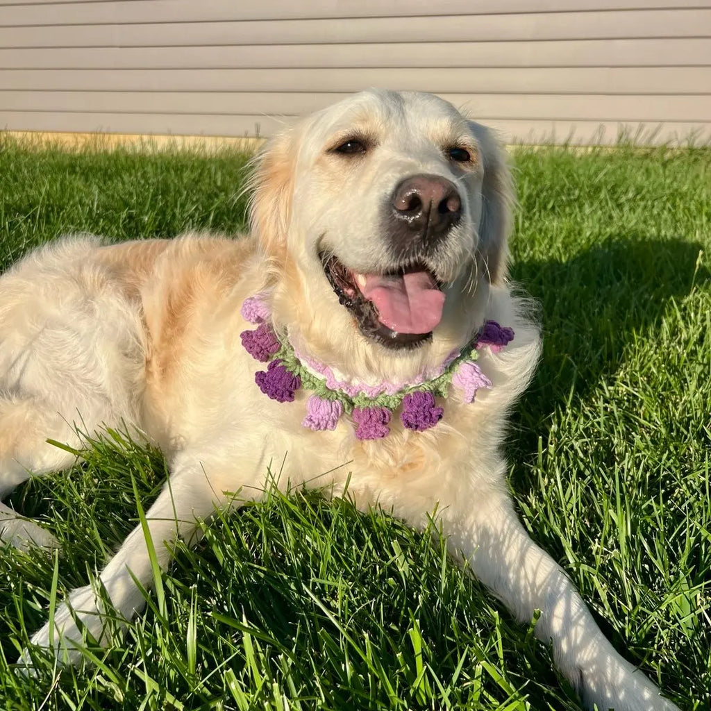 Elegant Tulip Crochet Pet Necklace/Collar for Dogs and Cats