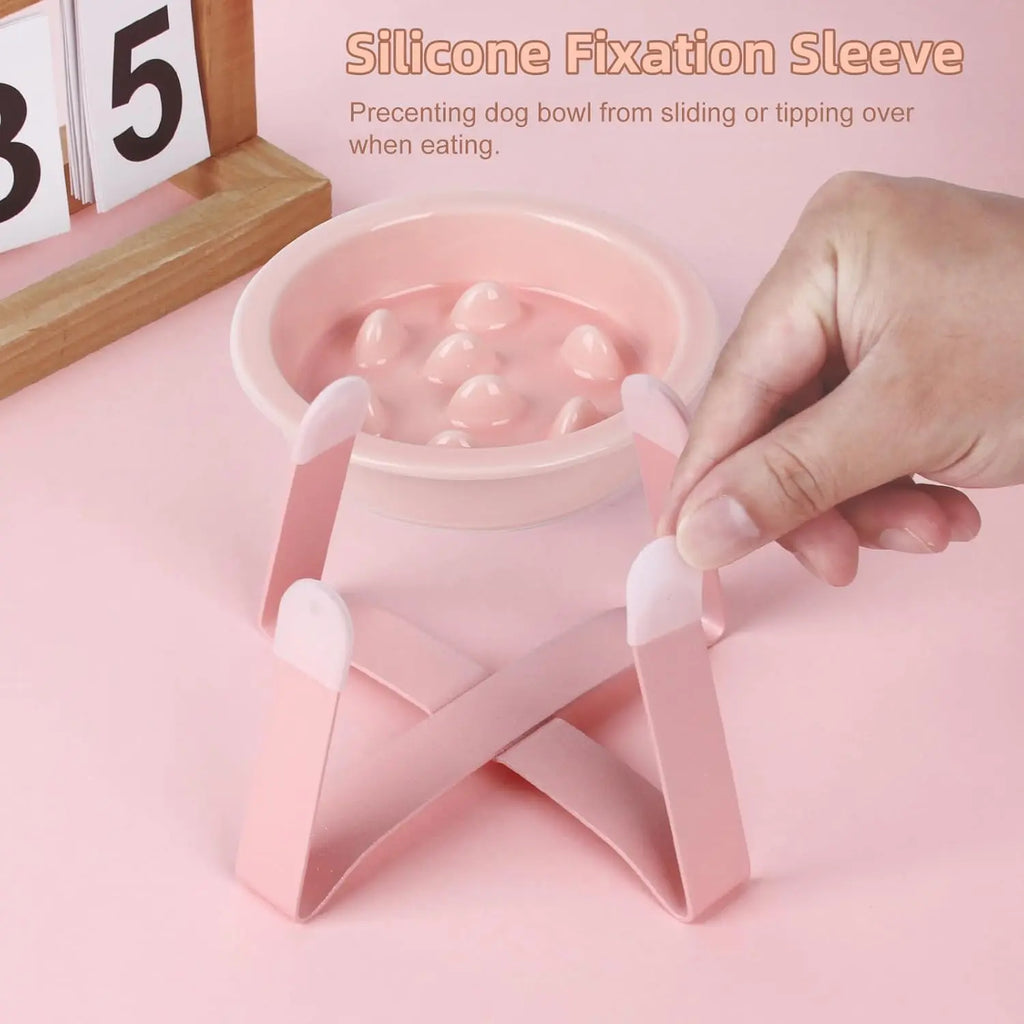 Elevated Ceramic Cat Bowl with Metal Stand - Slow Feeder Pet Dish for Dogs and Cats