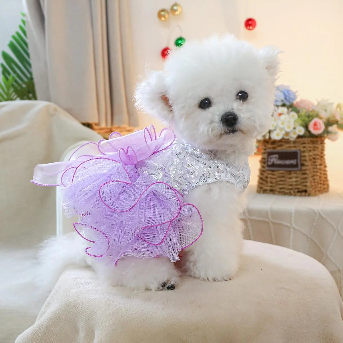 Elegant Princess-Inspired Pet Dress for Small Dogs and Cats - Ideal for Weddings and Special Occasions