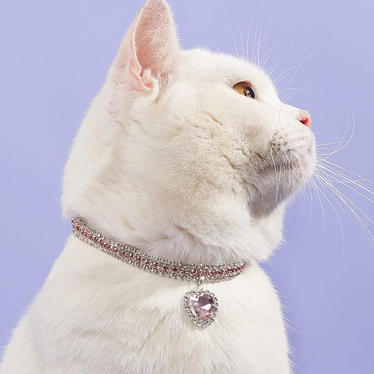 Heart-Shaped Artificial Diamond Pet Collar - Elegant Accessory for Cats and Dogs
