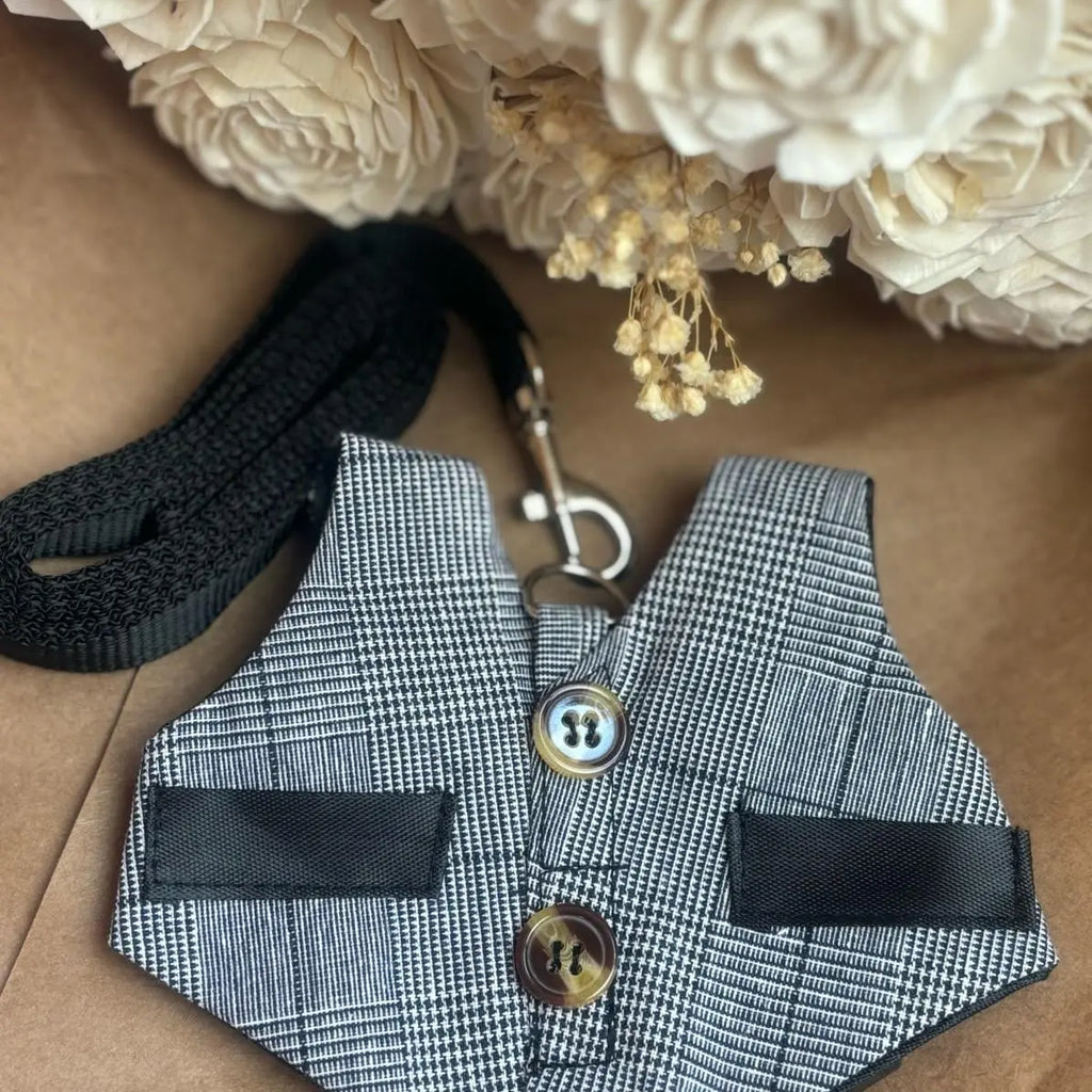 Pet Dress Suit Vest Harness for Rabbits and Cats with Leash - Cute Breakaway Dog Leash Gift