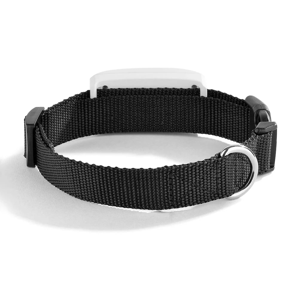2G GSM GPS Tracker Pet TK911 GPS Locator TKSTAR Mini GPS Pets Tracker 2G GSM Best Dog GPS Tracker with Free APP Waterproof IP67