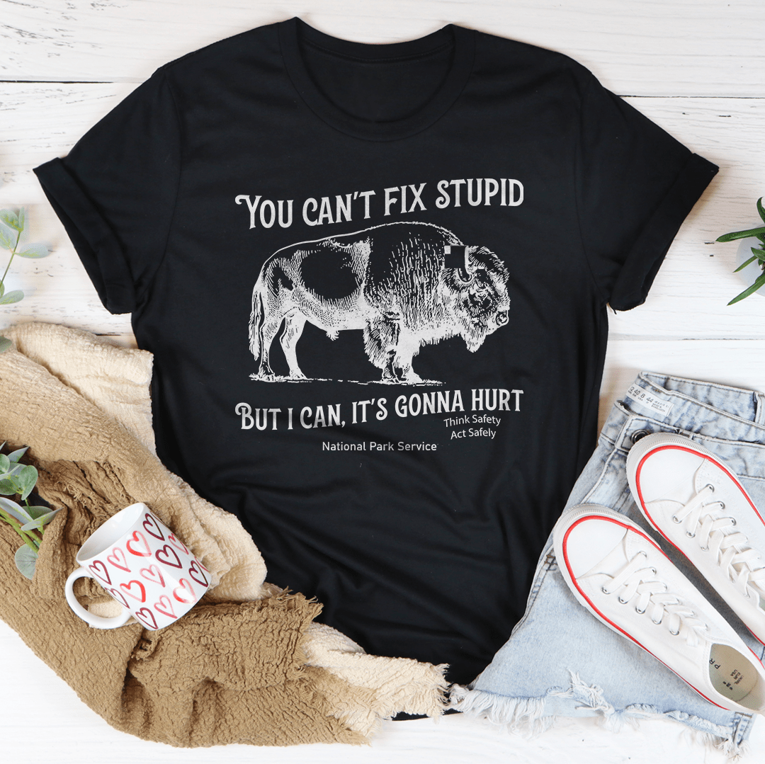 You Can't Fix Stupid But I Can Tee